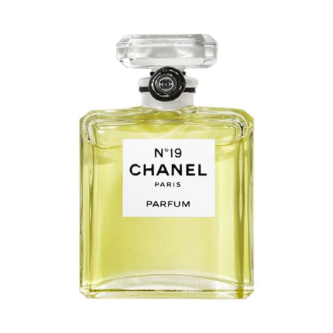 chanel 19 perfume ebay|chanel 19 perfume review.